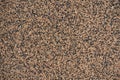 Close shot of wall with brown and black pebbledash finish Royalty Free Stock Photo