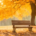 the close shot of the wooden bench beside huge autumn tree with falling leaves with bokeh background