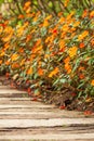 Close shot of wooden and concrete walkway in Impatiens garden