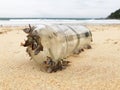 Old littered glass bottle covered with seashells lying on a golden sandy beach Royalty Free Stock Photo