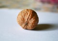 Close snapshot of a single walnut