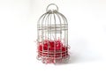 Close Steel Bird Cage with Pieces of Red Paper as Nest Isolated on White Background as Material for Valentine Event