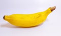 Close the studio image of beautiful banana with white background