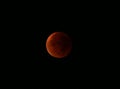 Close super blood moon Royalty Free Stock Photo