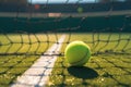 Close of tennis ball on white line near net