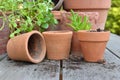 terra cotta flower pots with plants and shovel on a table in garden Royalty Free Stock Photo