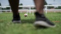 Close to the gateball on the grass field Royalty Free Stock Photo