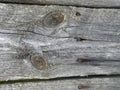 Texture of the board with two oval patterns and four nails.