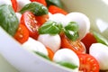 Close of tomato and mozarella in dish Royalty Free Stock Photo