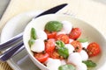 Close of tomato and mozarella in dish Royalty Free Stock Photo