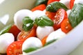 Close of tomato and mozarella in dish Royalty Free Stock Photo