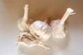 Close top shot of garlic group isolated on white background Royalty Free Stock Photo