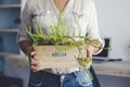 Close unrecognizable portrait of female at home doing gardening with green plant. Leisure indoor activity indoor people. Hands of