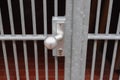 Close uo of a lock at a close metal gate