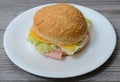 Close uo top abobe overhead viwe photo of tasty yummy delicious sandwich, junk food, fas eating concept. Tasty delicious burger wi Royalty Free Stock Photo