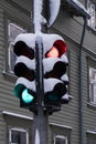 Traffic light during snow storm