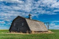 Close-up of an abandoned barn surrounded by a wheat field on the prairies in Saskatchewan Royalty Free Stock Photo