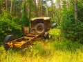 Close up of abandoned broken car in forest in summer. Old rusty lorry between green trees