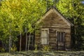Close Up of Abandoned Home from the 1800`s with Fall Colors in the Mountains Royalty Free Stock Photo