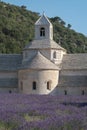 Close up of Abbey of Senanque building and Rows of blooming of lavender flowers Royalty Free Stock Photo