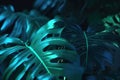 Close-up abstract background with green tropical leaves Royalty Free Stock Photo