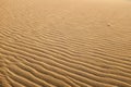 Multiple undulated waves patterns on textured sand dune..