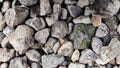 Close up abstract background and texture of crushed stone and pebbles in front of the house Royalty Free Stock Photo