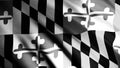 Close up of an the abstract black and white Maryland state flag fluttering in the wind. Animation. American flag in