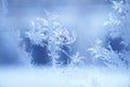 Close up of an abstract blurred frosty patterns on the glass, window with copy space. Blue ice winter background Royalty Free Stock Photo
