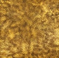 Abstract grunge golden and black background