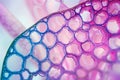 Close-up abstract image of colorful hexagonal network pattern, featuring blue and pink hues in a microscopic view