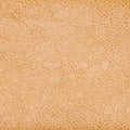 close up of abstract leather texture as background
