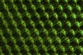 A close up abstract macro photo of a plastic reflector lit with a green flash gel Royalty Free Stock Photo