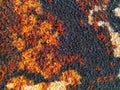 Close-up Abstract Photo of Carpet with Color Combinations