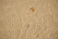 abstract soft beach sand background in water