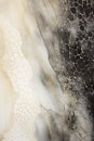 Close-up abstract texture, structure under a microscope, black and beige tones, vertical artwork