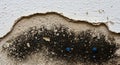 Close-up of Peeling White Paint and Black Mold on a Textured Wall peeling paint cracked paint Royalty Free Stock Photo