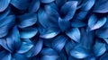 Deep Blue Leaf Texture Background Royalty Free Stock Photo