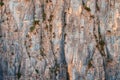 abstract view of rock and cliff as background or texture element. Concept of natural attractions and gorges and canyons Royalty Free Stock Photo