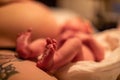 Newborn infant and mother after birth Royalty Free Stock Photo