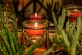 Tealight candle illuminating small potted succulent plants Royalty Free Stock Photo