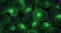 Microscopic View of Glowing Green Cells Under a Microscope Royalty Free Stock Photo
