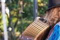 Close up of accordion and accordion player playing at Klezmer concert of Jewish music in Regent`s Park in London Royalty Free Stock Photo
