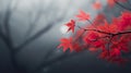 Close up of acer plant red leaves in misty diffuse light ambient occlusion. Generative AI