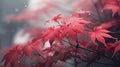 Close up of acer plant red leaves in misty diffuse light ambient occlusion. Generative AI