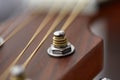 close up of acoustic guitar head with pegs Royalty Free Stock Photo