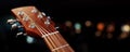 Close-up of an acoustic guitar headstock