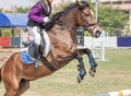 Close up action equestrian rider horse jumping over hurdle obstacle during dressage test competition