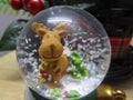 Close up of adorable Christmas reindeer snow globe ornament Royalty Free Stock Photo