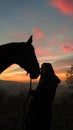 CLOSE UP: Adorable shot of young woman standing close the big horse at sunrise. Royalty Free Stock Photo